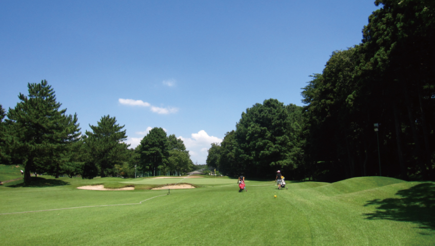 月額定額制で通いやすいレッスンプラン